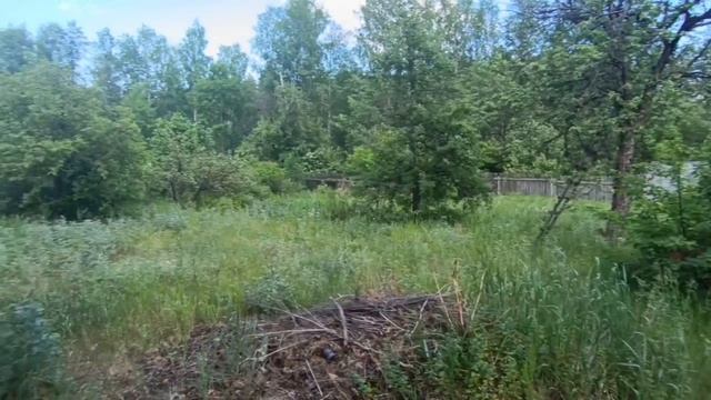 video5348146710667359317