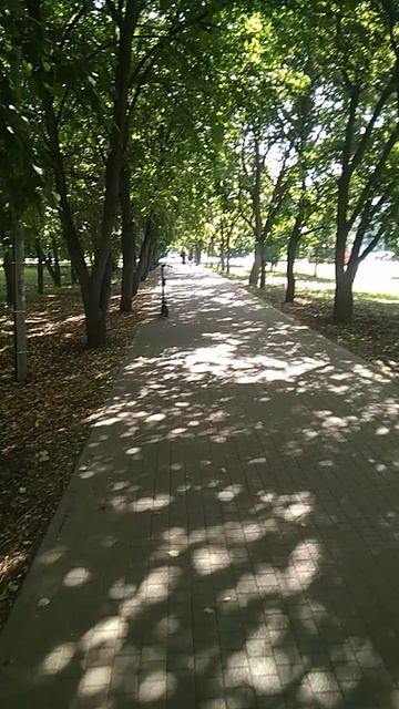 VID_20250609_085625.mp4