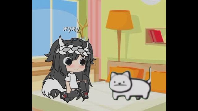 ||12:58|| котик в шоке😳😳