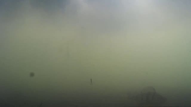 Субботний клёв. Подводное видео.