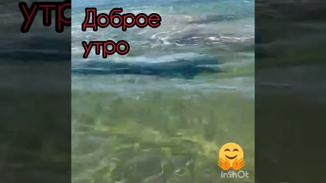 👍👍👍