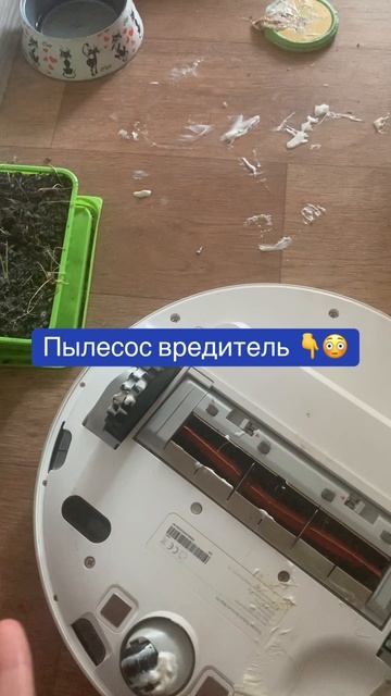 Робот-пылесос нашалил
