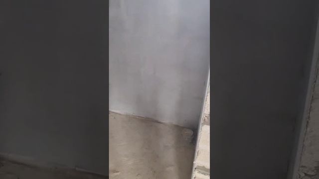 VID-20250601-WA0008