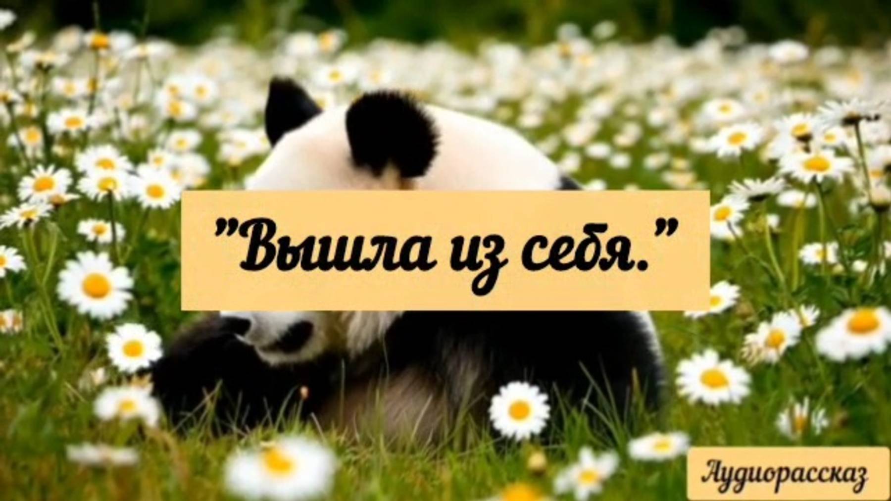 Вышла из себя, а обратно не вернулась. Не захотела возвращается.