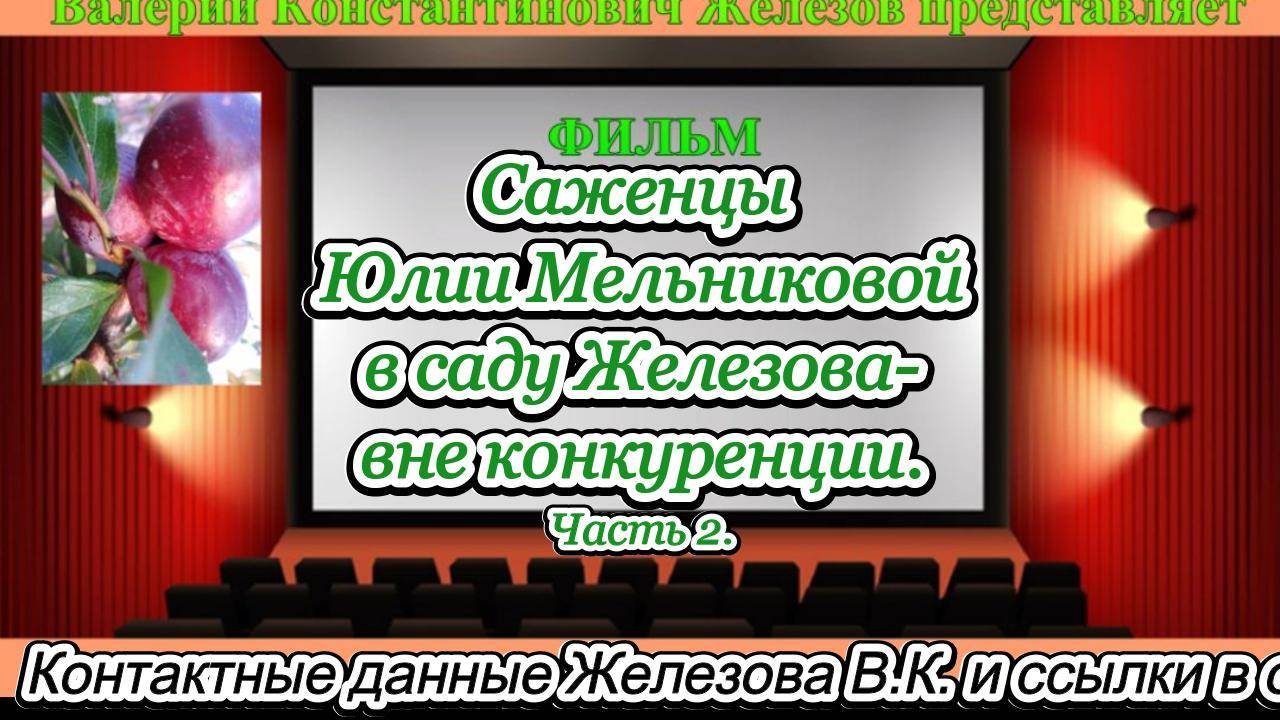 Саженцы Юлии Мельниковой в саду Железова- вне конкуренции. Часть 2.