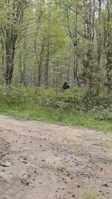 Лен.обл.