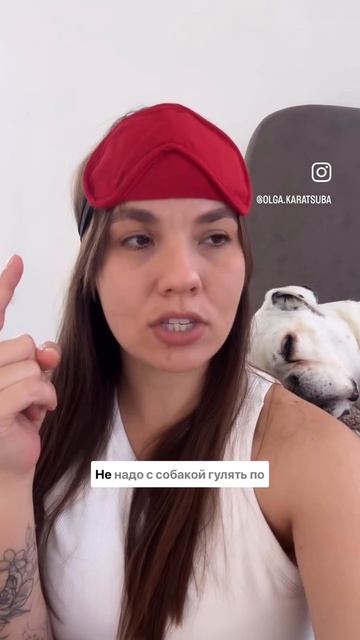 СОБАКА НЕ ДАЕТ СПАТЬ???