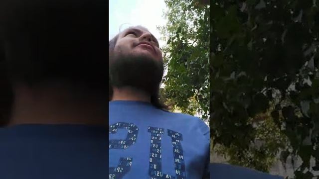 Мы идём гулять с собакой! | 9-июн-2025, 3