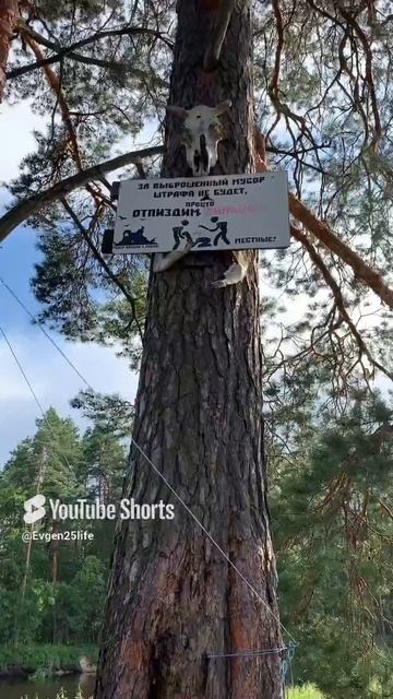 Вот так вот…🙂 #life #nature #путешествия #fishing #природа #наприроде #рыбалка #живаяприрода