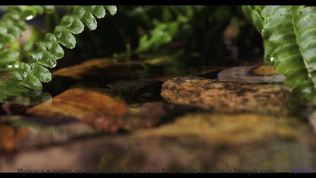Эти места скрывают тайны - а музыка их раскроет! - Sweet And Sour Sanich -- Podington Bear -- Haples