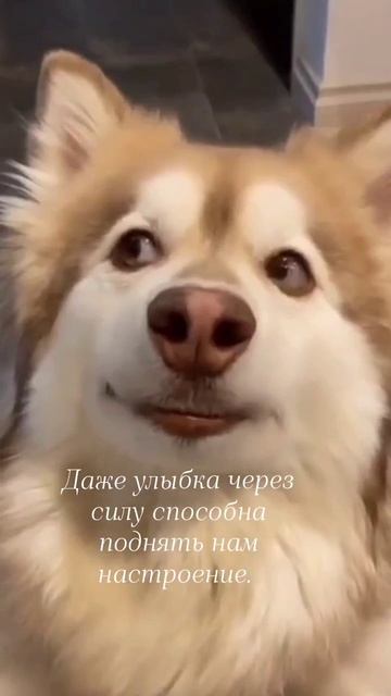 Что происходит когда перестаём смеяться???