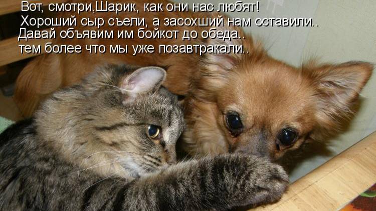 ПОДБОРКА РАЗНОГО ЮМОРА