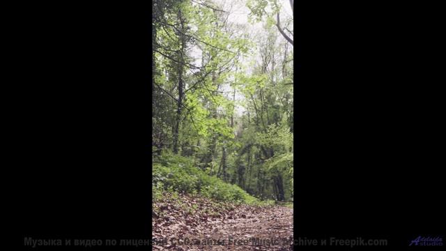 Музыка, от которой мурашки, а виды - как сон - Musim Hujan [Edit] -- Ov Moi Omm -- Unnamed album