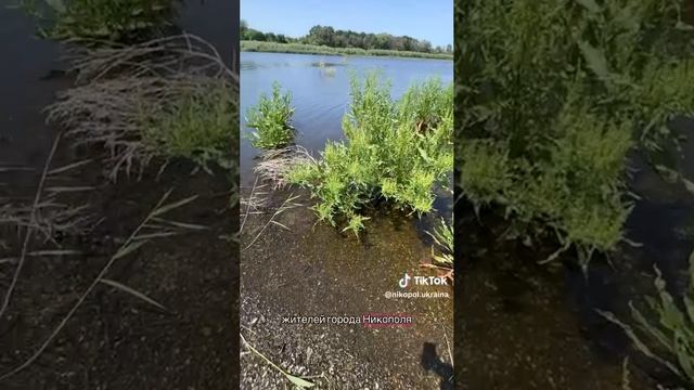 Житель Никополя показал, как сейчас выглядит Каховское водохранилище, которое обмелело два года ...