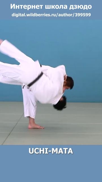 Интернет школа дзюдо. UCHI-MATA