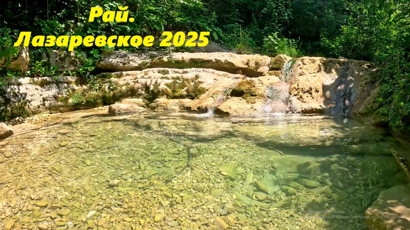 В лесу!  Лазаревское 2025