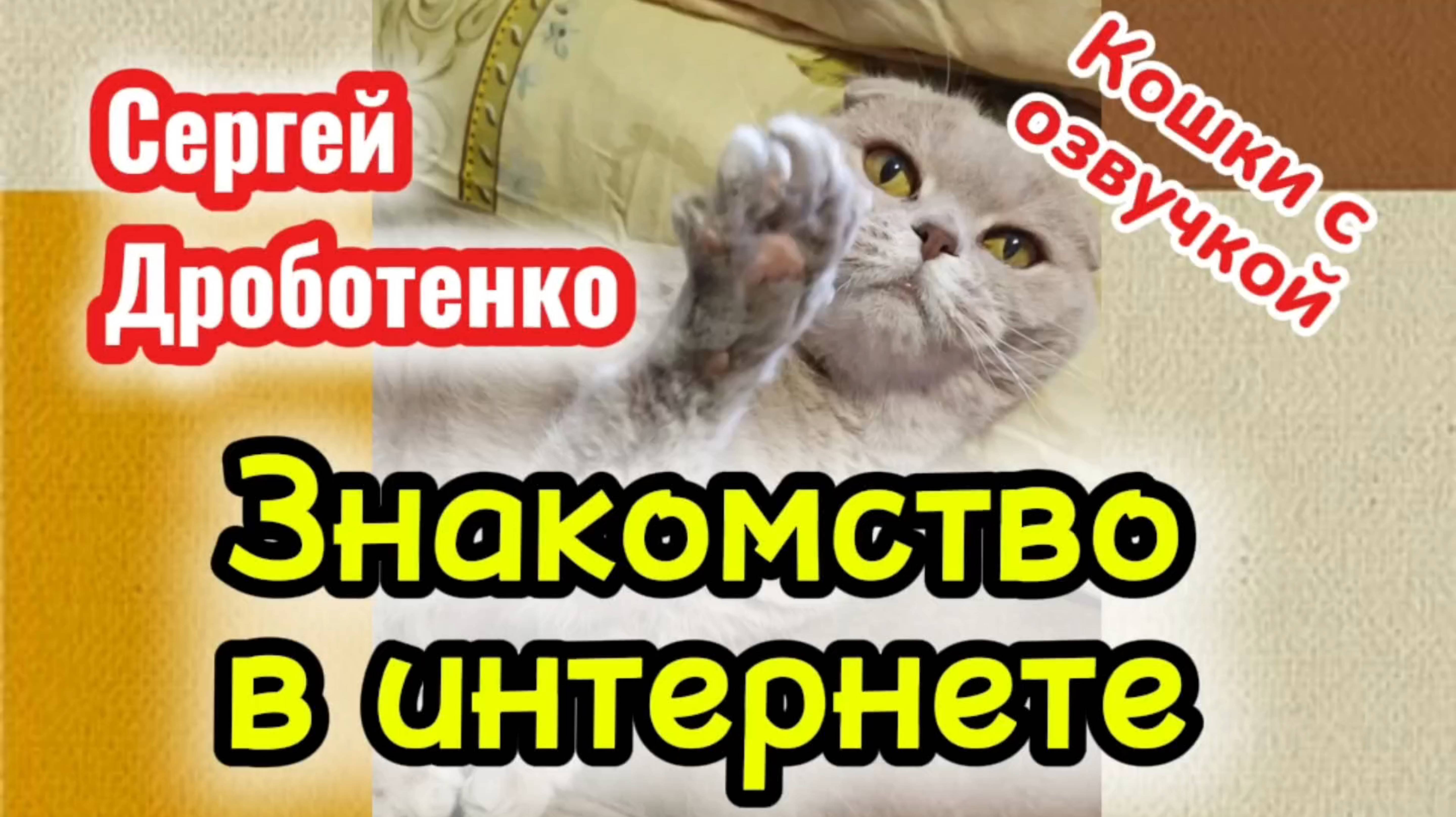 ЮМОР😂 Кошки с озвучкой🤣 СЕРГЕЙ ДРОБОТЕНКО монолог " ЗНАКОМСТВО 
В ИНТЕРНЕТЕ"