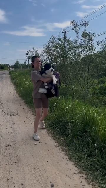 Умный Друг. Онлайн школа по воспитанию собак