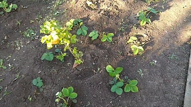 16.05.2024 _ Моя любимая дача