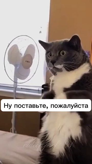 Кто ты на это сессии?