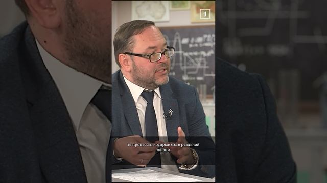 🍀Общение растений: миф или реальность?