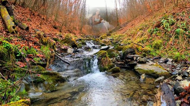 Mehdi – Guiding Light (Мехди – Путеводный свет)