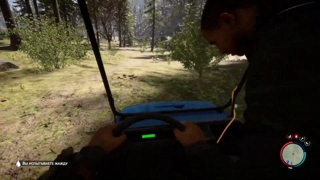 Играю первый раз в Sons Of The Forest