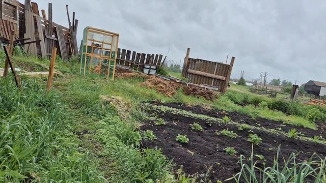 Я Ездила на базар/ целый день дождь/купила цепи