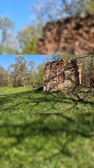 Поездки выходного дня. Усадьба Лапина, дворец Потемкина, Сгоревшая деревня