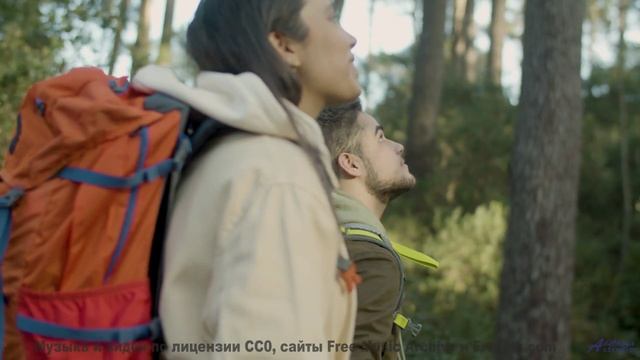 Леса танцуют в такт каждой новой ноте - Understanding -- A. Cooper -- COOPER