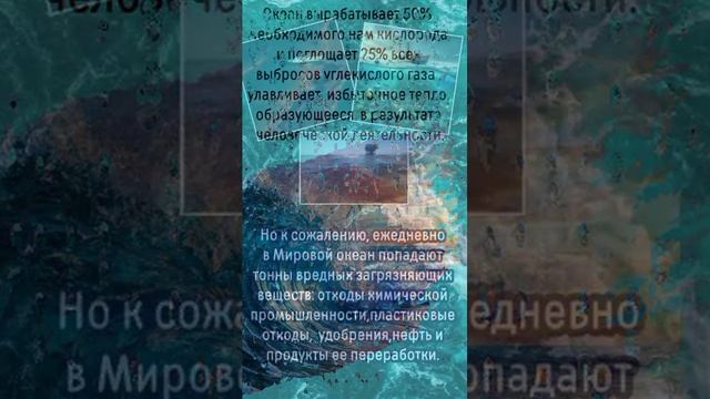 VID_20250609_132638_939.mp4