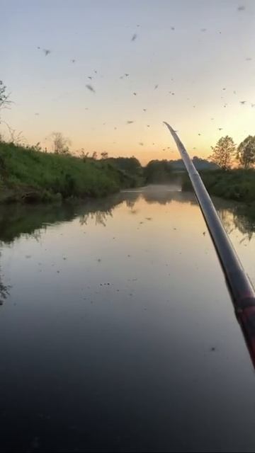 На рыбалке… #рыбалка #наприроде