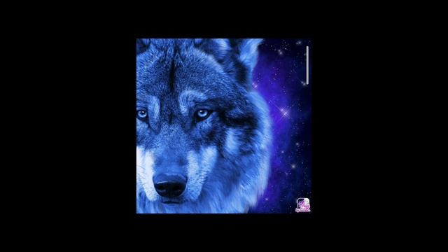 какое животное выбирищь?