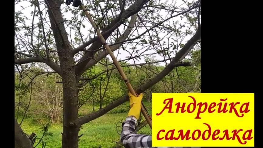 Электрическая пила и пила Жираф своими руками