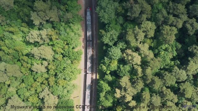 Кадры природы, которые смешнее любого стендапа! - Pastures -- Ketsa -- As Above So Below