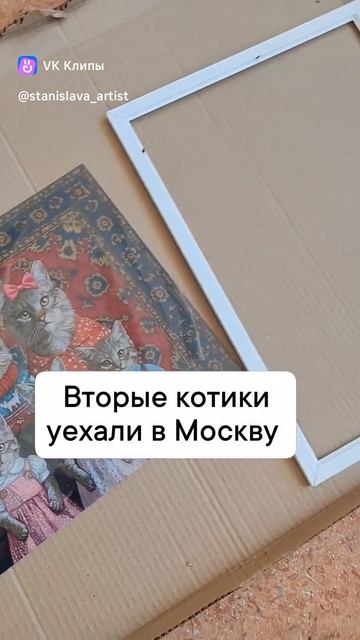 Куда уехали котики?🙀
