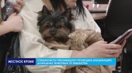 Отпуск с домашним питомцем: что нужно знать?