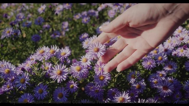 Трек, который вы включите, когда в сотый раз свернёте с маршрута - Born In Winter -- One Man Book --