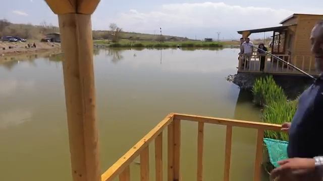 Вкусные рецепты разных видов шашлыков на природе с друзьями