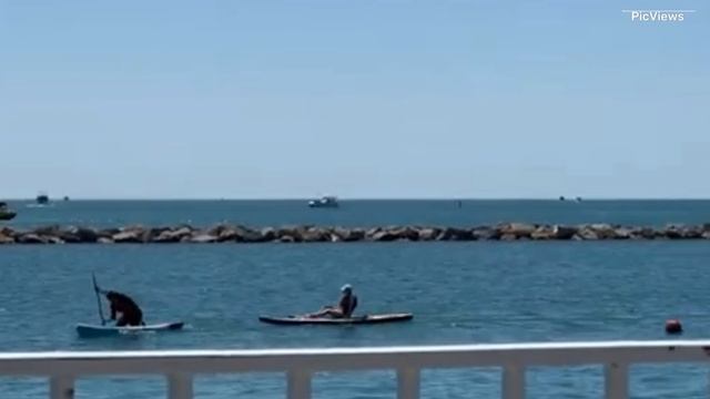 Сочи Адлер Чёрное море сегодня 9 июня 2025. Какая погода, обстановка, море на курорте