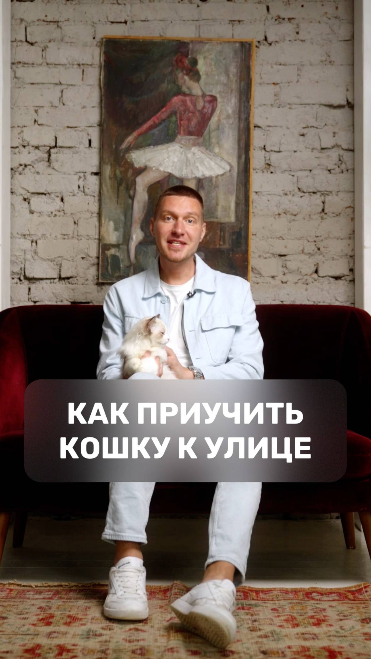 Как приучить кошку к улице