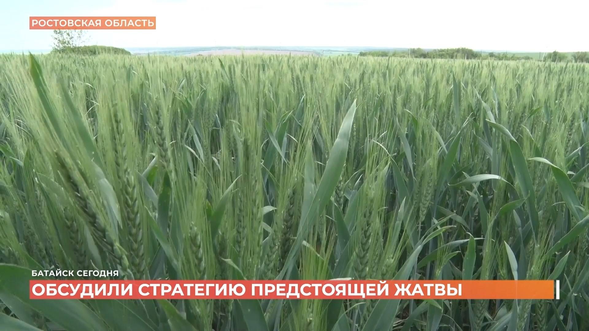 Батайск сегодня. Выпуск за 09 июня 2025