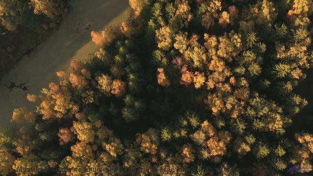 Звуки, используемые для создания параллельных вселенных - фантастика становится реальностью! - Yip Y