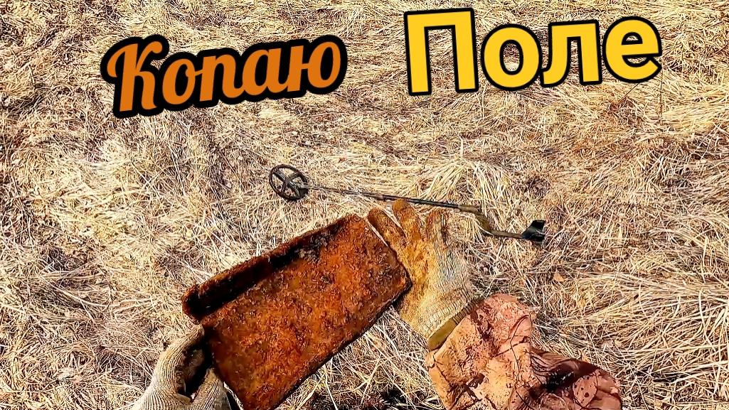 Копаю металл на старом поле, сигналы глубокие!