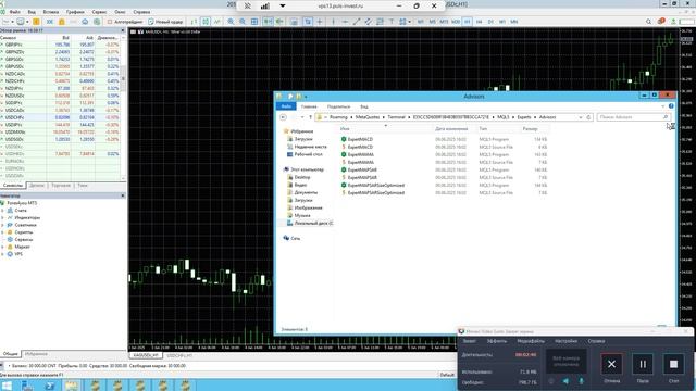 Установка робота WSB Silver RX by puls-invest.ru на терминал MT5