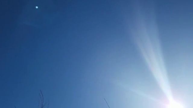 video_5335437085240.mp4.  апрель