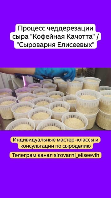 Процесс чеддерезации  сыра "Кофейная Качотта" / "Сыроварня Елисеевых"