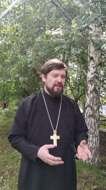 ЗЕЛЁНЫЙ ЦВЕТ - СИМВОЛ ЖИЗНИ ☘️.