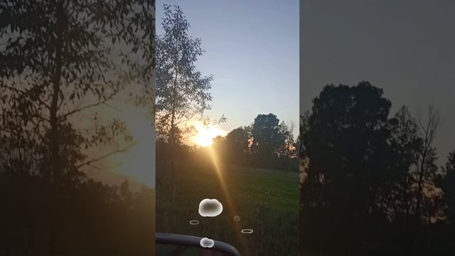 Немного НЕУДОБСТВА при ОГРОМНОМ УДОБСТВЕ! 🤗😁🤗 09.06.2025г. О кошках, о технике, о путешествиях.