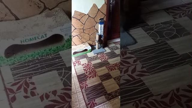 придёт хз